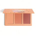 پالت رژگونه سه‌تایی شیگلم SHEGLAM Sweet Cheeks Blush Trio رنگ Private Cabana