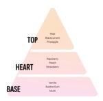 خوشبو کننده خودرو آرئون 80گرم areon gel passion - Image 2