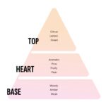 خوشبو کننده خودرو آرئون areon gel Black Crystal - Image 2