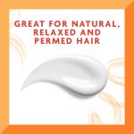 روغن مو مرطوب کننده و ضد شکنندگی موهای فر کانتو Cantu daily oil moisturizer treatment حجم 384 میل - Image 3