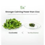 ماسک ورقه ای جلبک دریایی بایودنس تسکین دهنده و کنترل چربی پوست BIODANCE بسته 4 عددی - Image 12