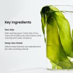 ماسک ورقه ای جلبک دریایی بایودنس تسکین دهنده و کنترل چربی پوست BIODANCE بسته 4 عددی - Image 7