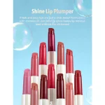 لیپ پلامپر حجم دهنده شیگلم Sheglam POUT PERFECT رنگ PINK FLAMINGO - Image 6