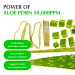 سرم PDRN و آلوئه ورا ترمیم کننده و تسکین دهنده قوی پوست اکوال بری EQQUALBERRY Aloe PDRN Calming Serum حجم 30 میل - Image 6