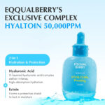 سرم آبرسان و تسکین دهنده هیالتوئین اکوال بری EQQUALBERRY Hyaltoin Flooding Serum حجم 30 میل - Image 12
