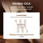تونر اسنس آبرسان و تقویت‌کننده سد دفاعی پوست اسکین ۱۰۰۴ SKIN1004 Centella حجم ۲۱۰ میل - Image 4