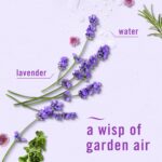 خوشبوکننده و بوگیر سرویس بهداشتی فبرز Febreze رایحه اسطوخودوس Lavender - Image 2