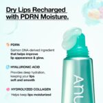 سرم لب مرطوب‌کننده و ترمیم‌کننده آنوا Anua PDRN Lip Serum حاوی PDRN، هیالورونیک اسید و کلاژن حجم 10 میل - Image 3