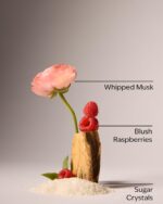 لوسیون بدن بث اند بادی Bath & Body Sweetest Song حجم 236 میل - Image 2